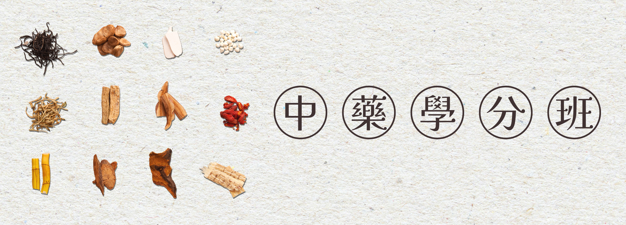 中藥學分班第1期
